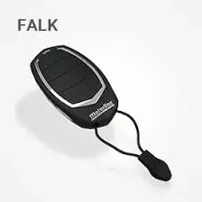 Motorline Remotes